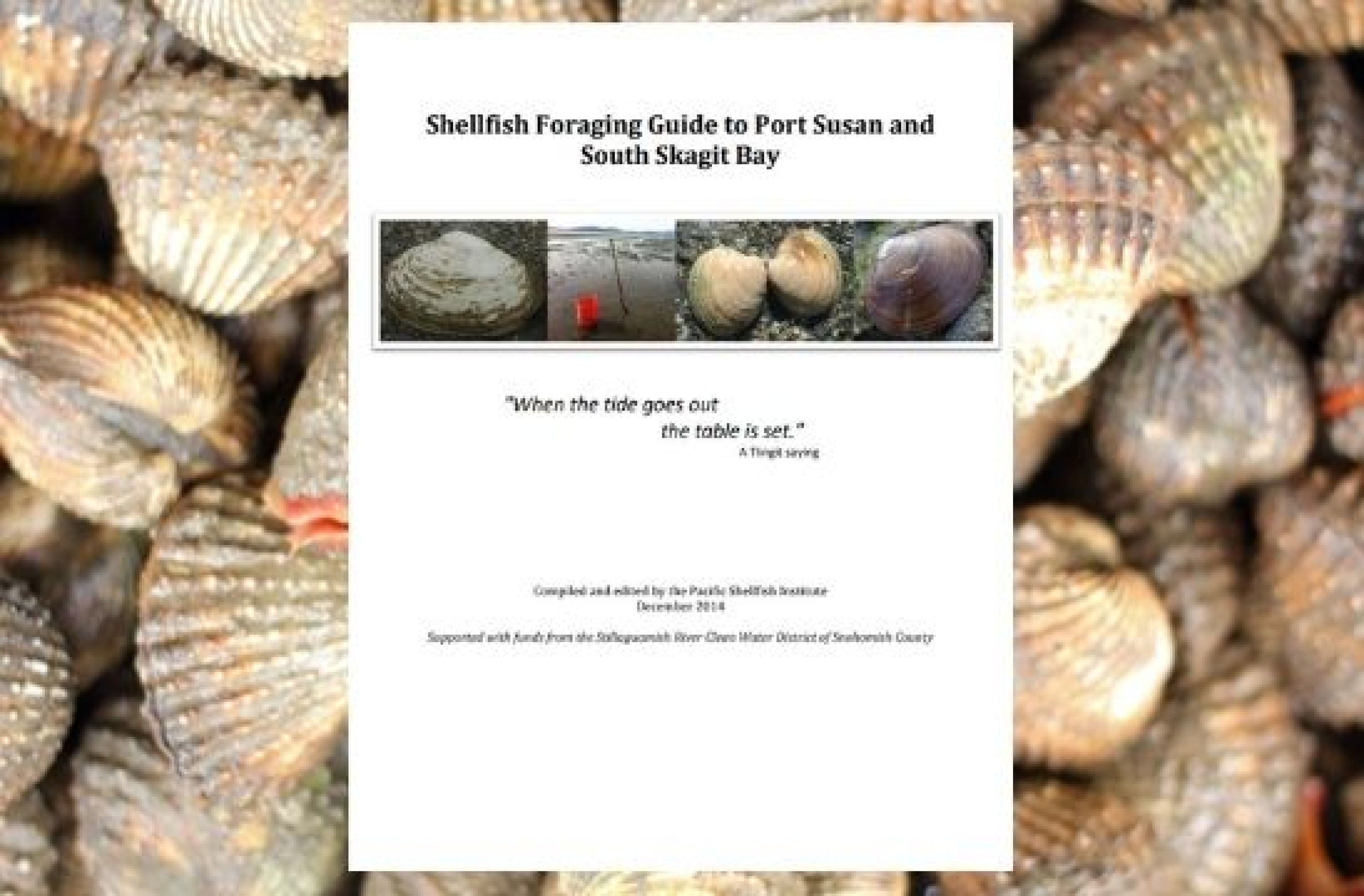 Guide to Shellfish Foraging